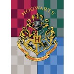 Harry Potter Harry Potter Fleecedecke 100*140 cm