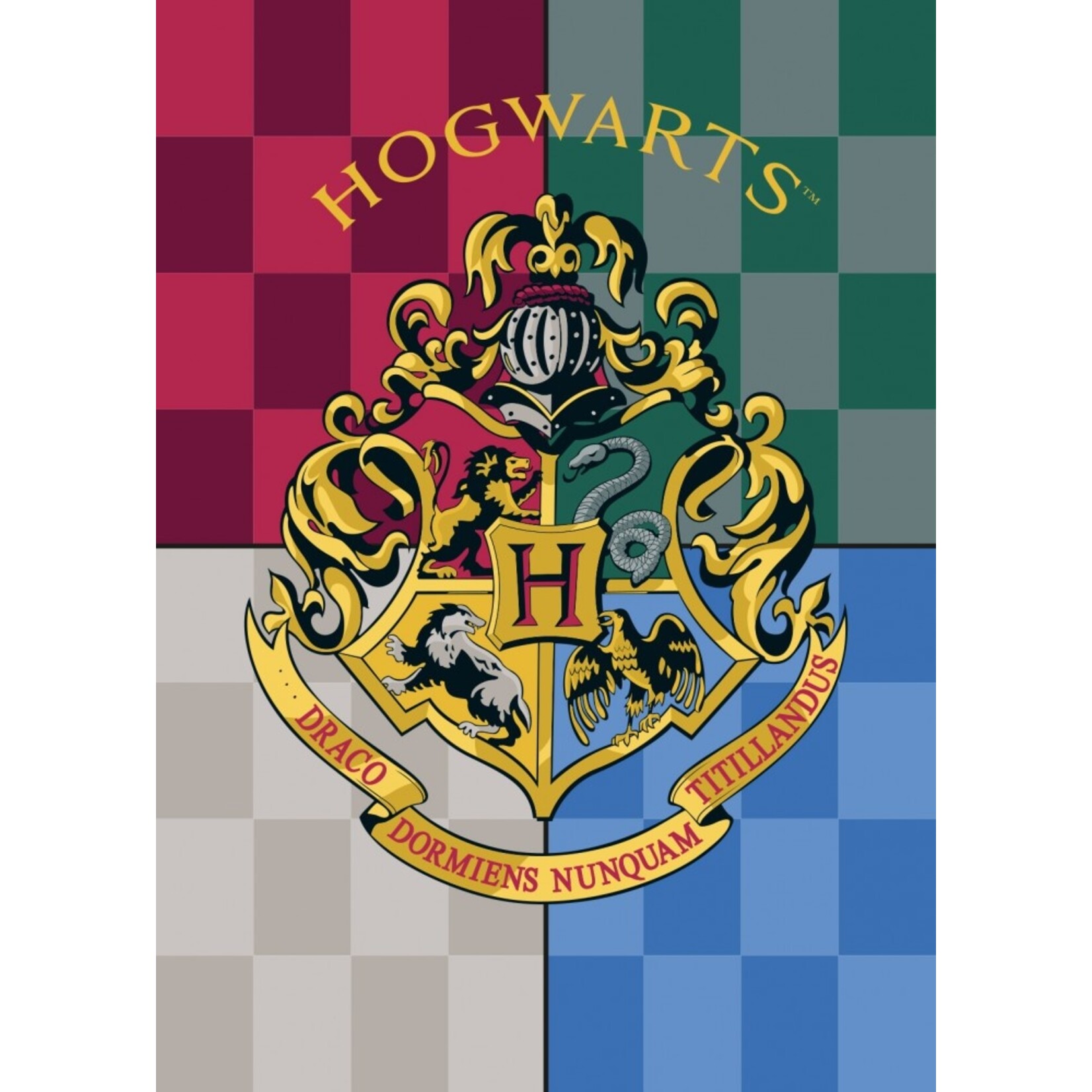 Harry Potter Harry Potter Fleecedecke 100*140 cm