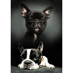 Hund Fleecedecke 100*140 cm