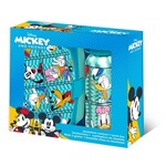 Disney Mickey Friends Sandwich Box + Aluminium Flasche Set