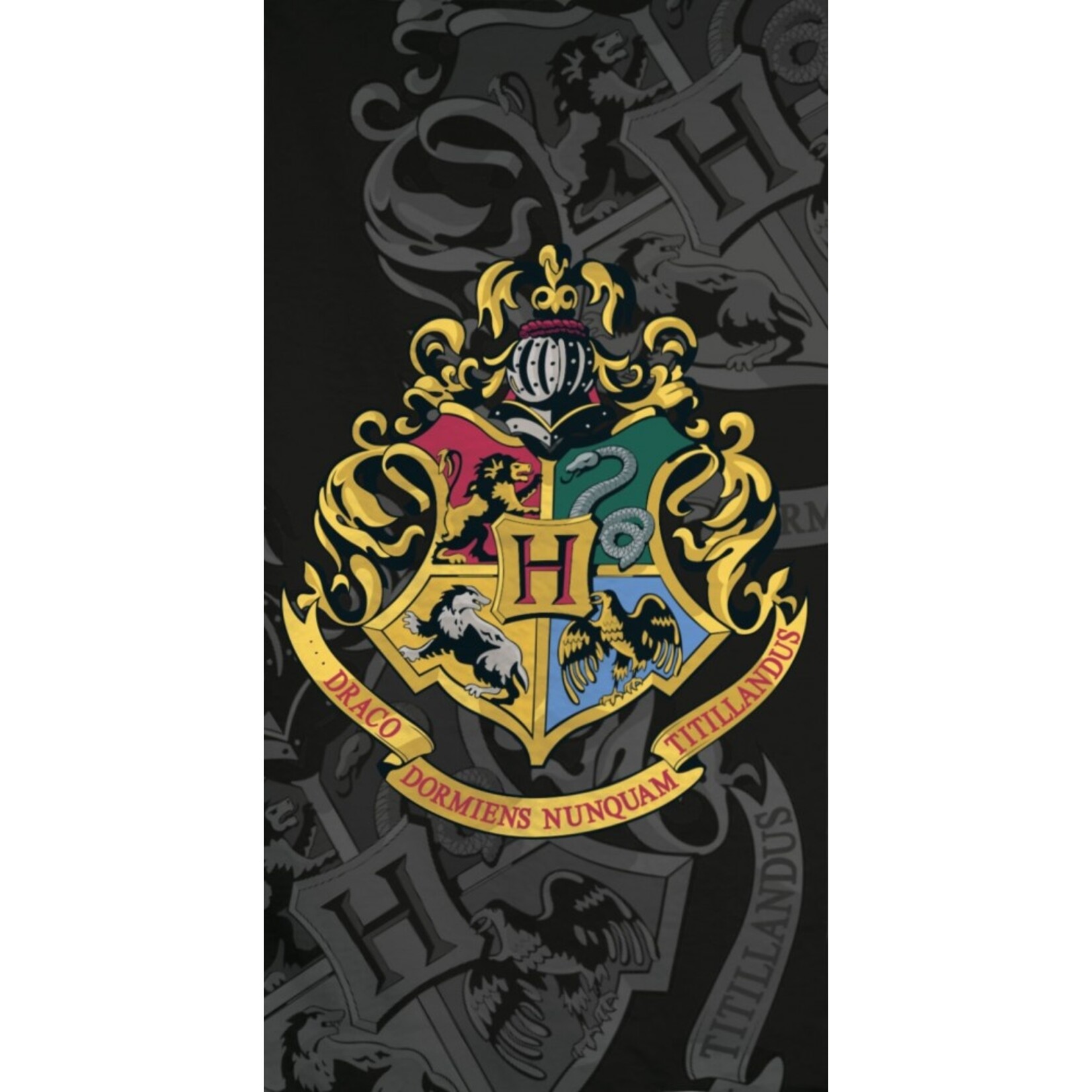 Harry Potter Harry Potter Badetuch 70*140 cm