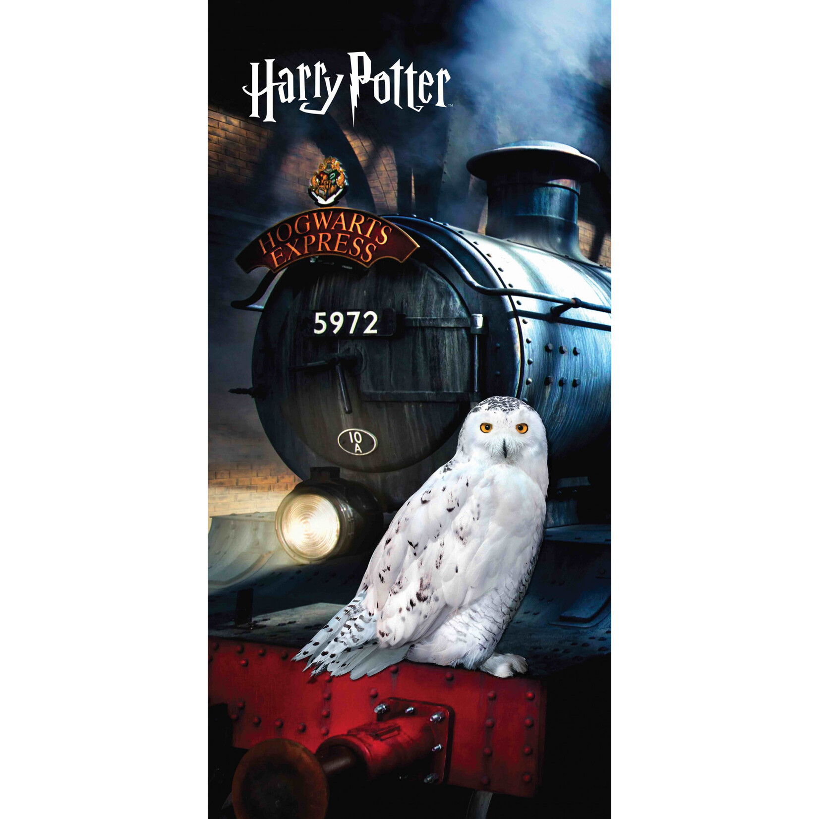Harry Potter Harry Potter Badetuch 70*140 cm