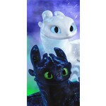 How To Train Your Dragon Couple Handtuch, Strandhandtuch70*140 cm