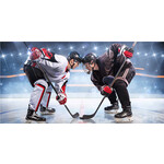 Eishockey Badetuch 70*140 cm