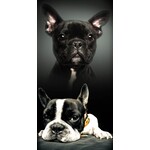 Hund Badetuch 70*140 cm
