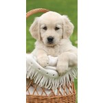 Hund Badetuch 70*140 cm