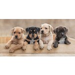 Hund Team Handtuch, Strandhandtuch 70*140 cm