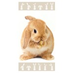 Hase Brown Handtuch, Strandhandtuch 70*140 cm