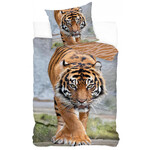 Tiger Bettwäsche 140—200 cm, 70—90 cm