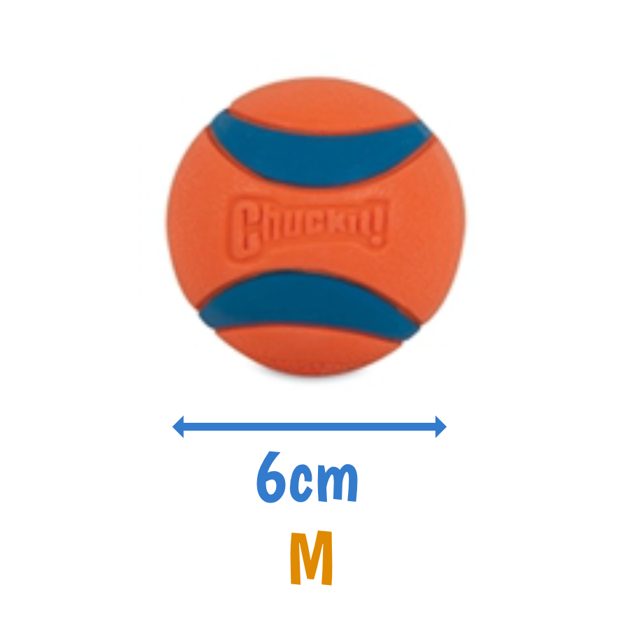 Ultra Bal Spelen & Apporteren
