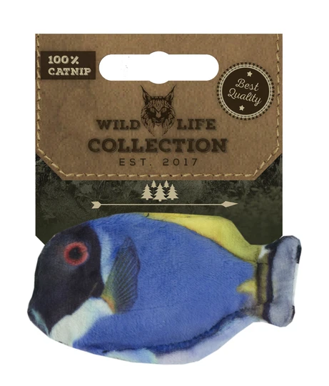Blue tang vis