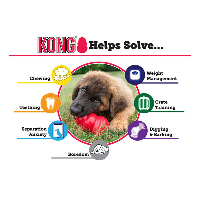 Kong classic rood M