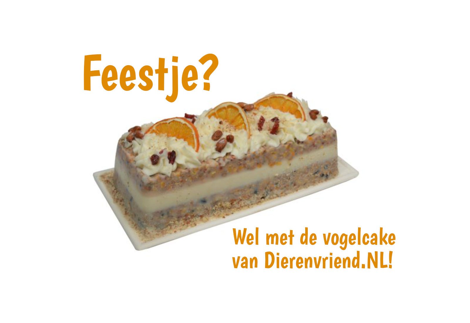 Vogelcake met zaden & vetten
