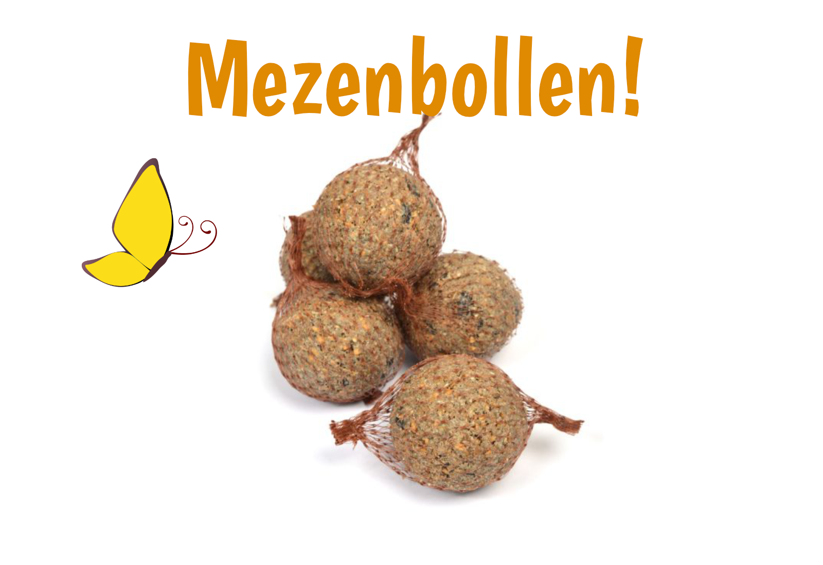 Mezenbol met Meelwormen - Per Stuk