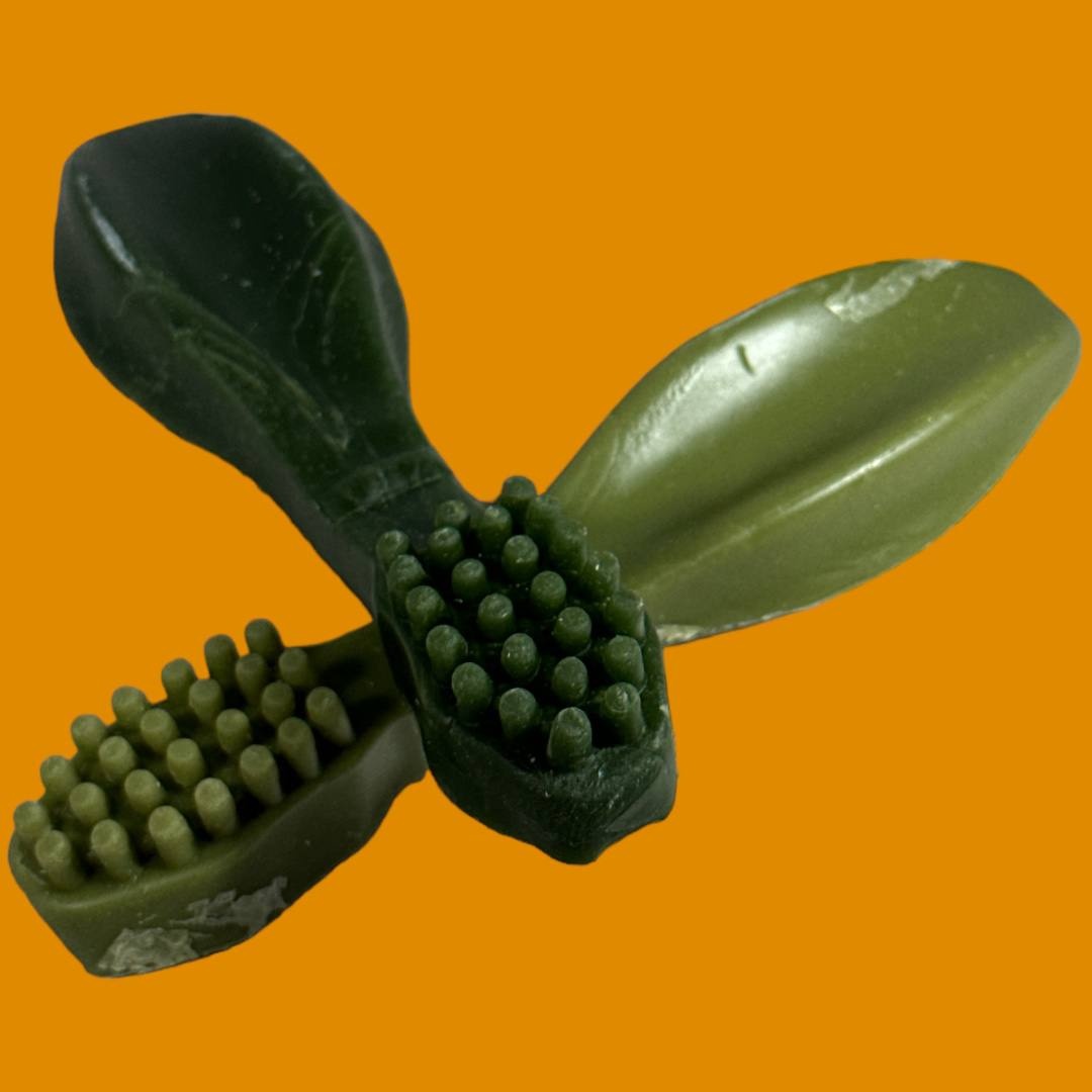 Dental veggie toothbrush