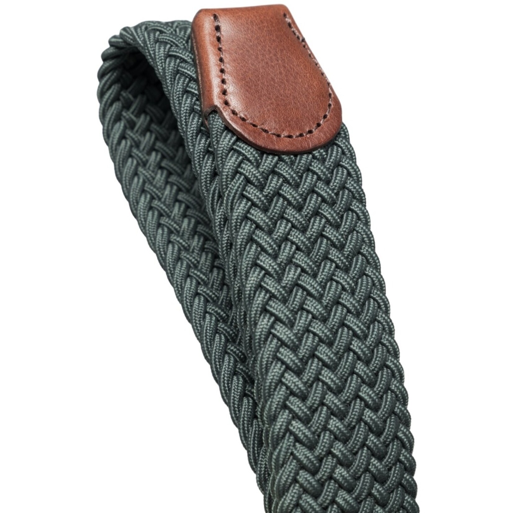 Les Deux Walker Webbing Belt Pine Green