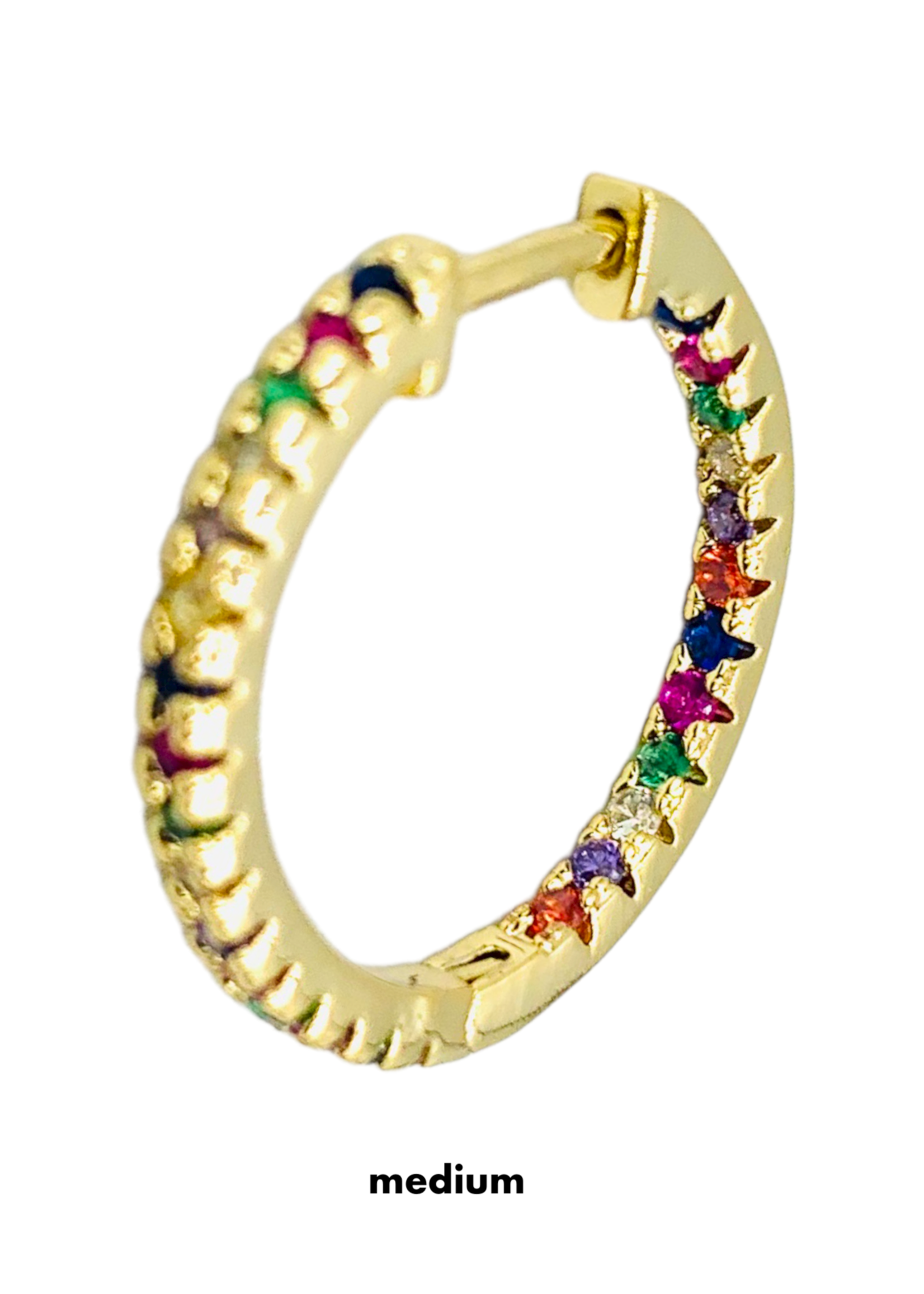 Hailey Multicolor Earrings