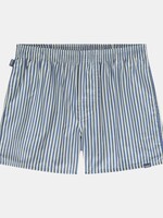 Pockies Underwear Pockies Blue Striped