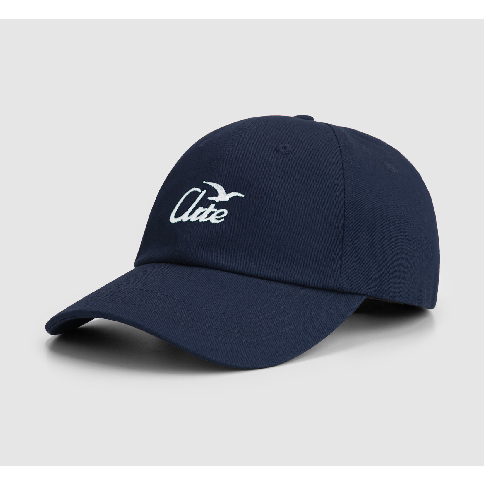 Arte Arte Bird Logo Cap Navy