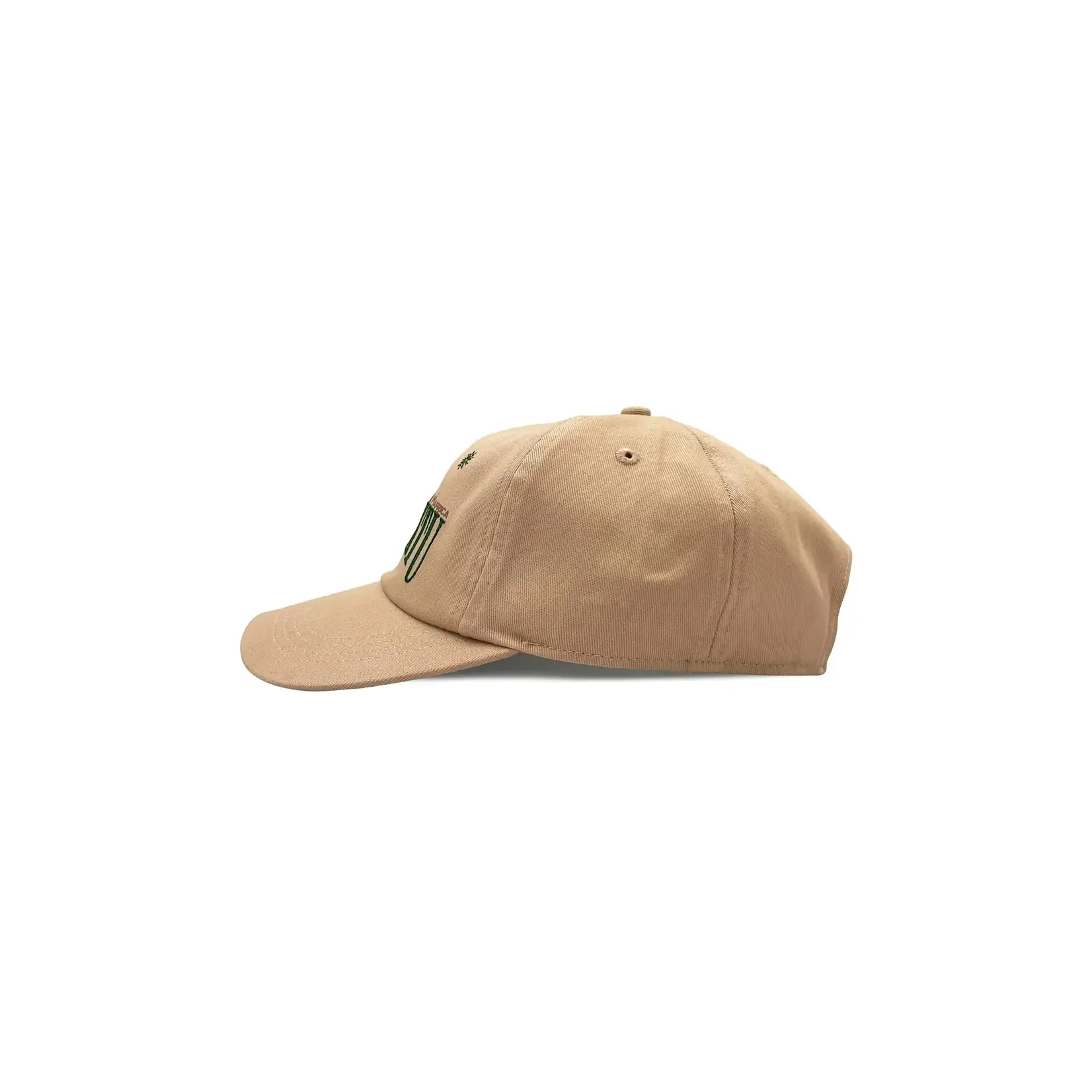 Visit Timbuktu