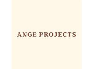 Ange Projects