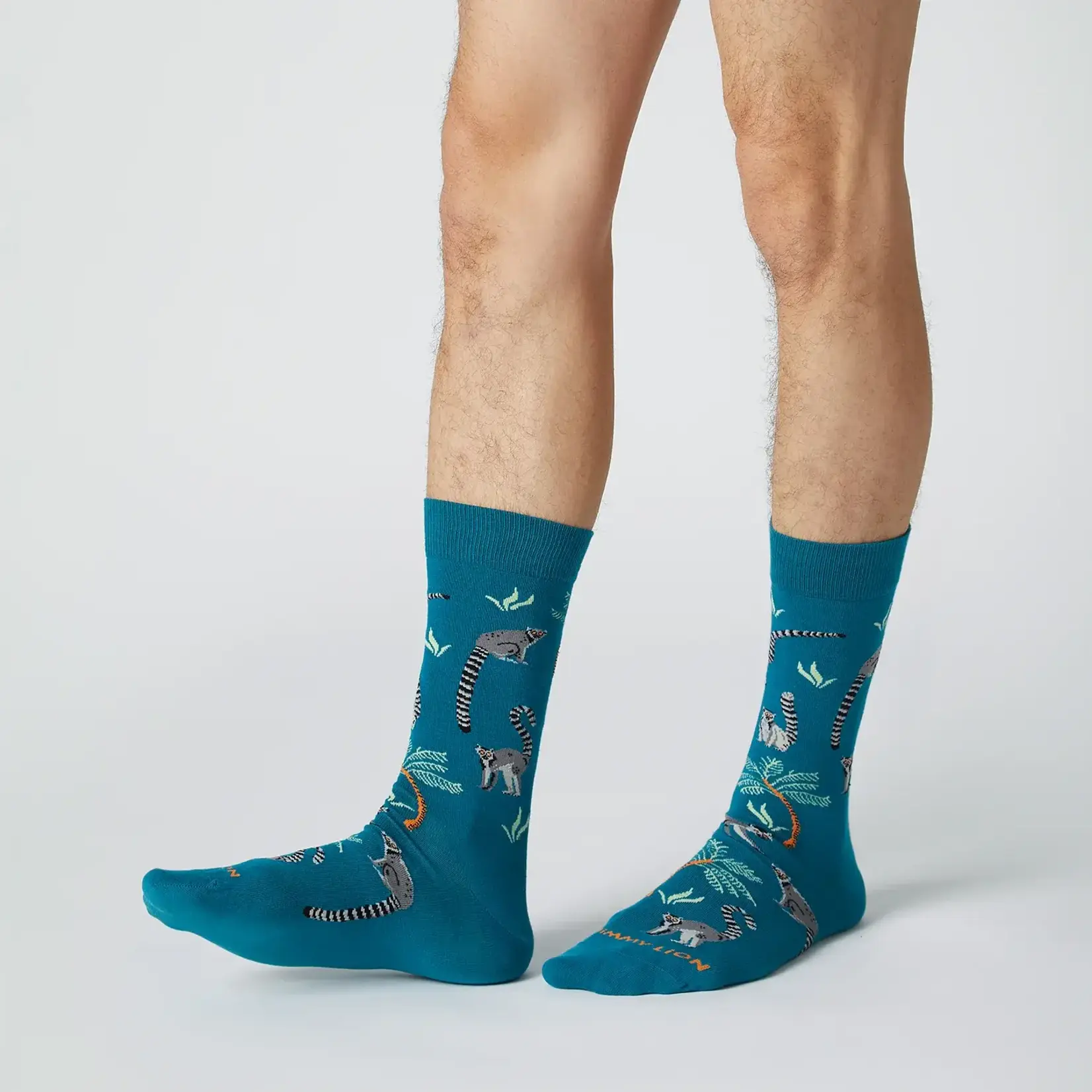 Jimmy Lion JL normal Lemur Dark Acqua