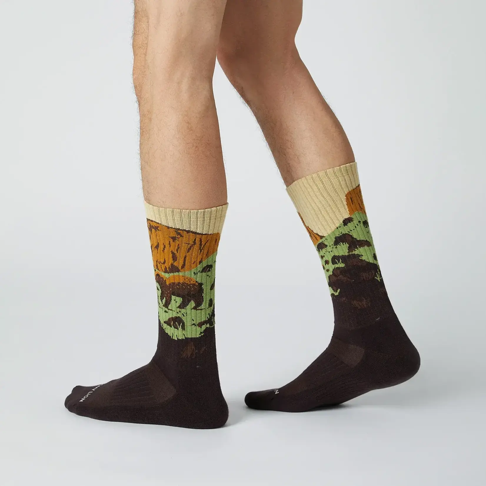 Jimmy Lion JL Athletic Bear Rock Dark Brown