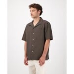 Castart Castart Hosta Brown