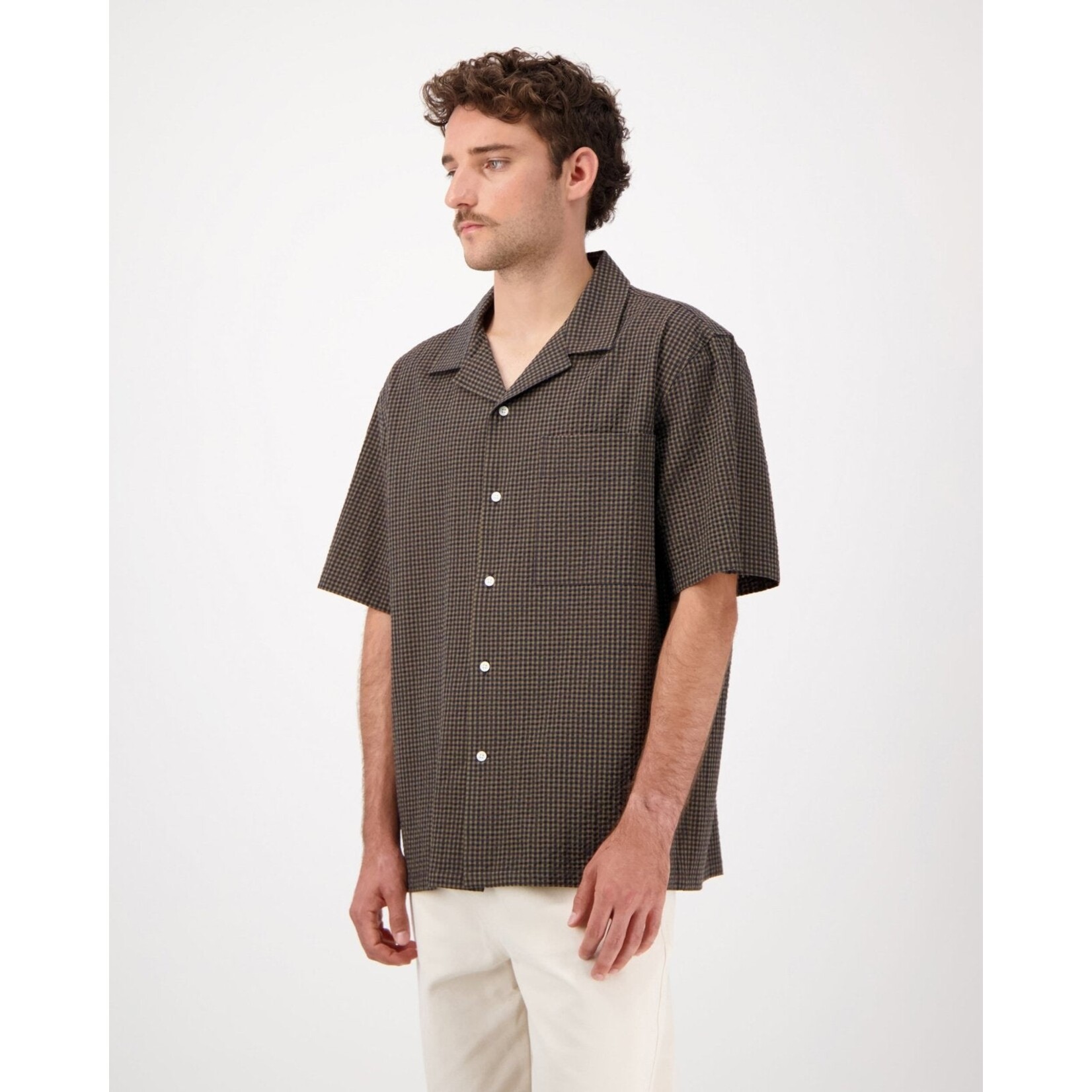 Castart Castart Hosta Brown