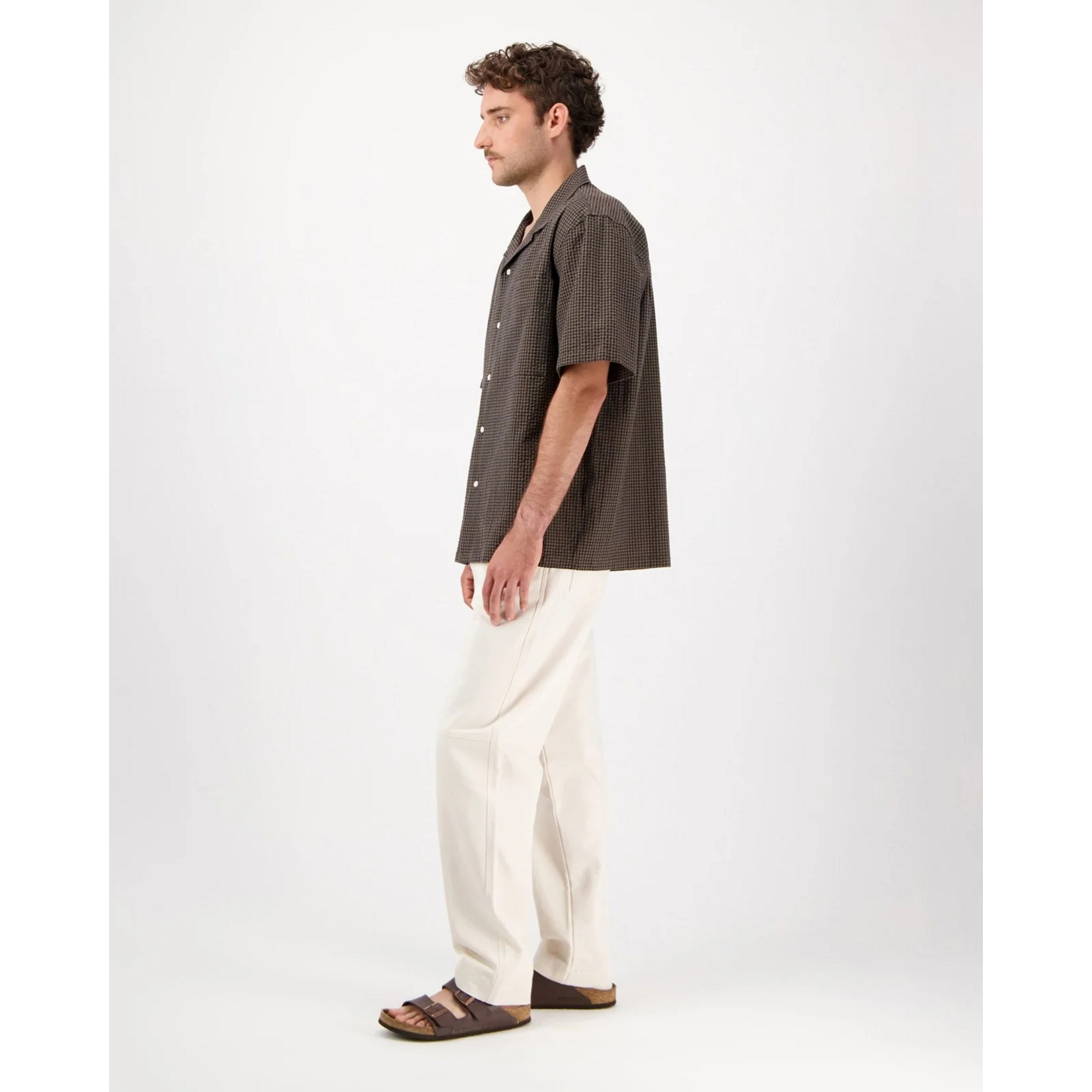 Castart Castart Hosta Brown