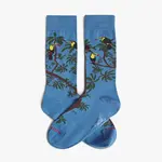 Jimmy Lion JL Pura Vida Rainbow Toucan