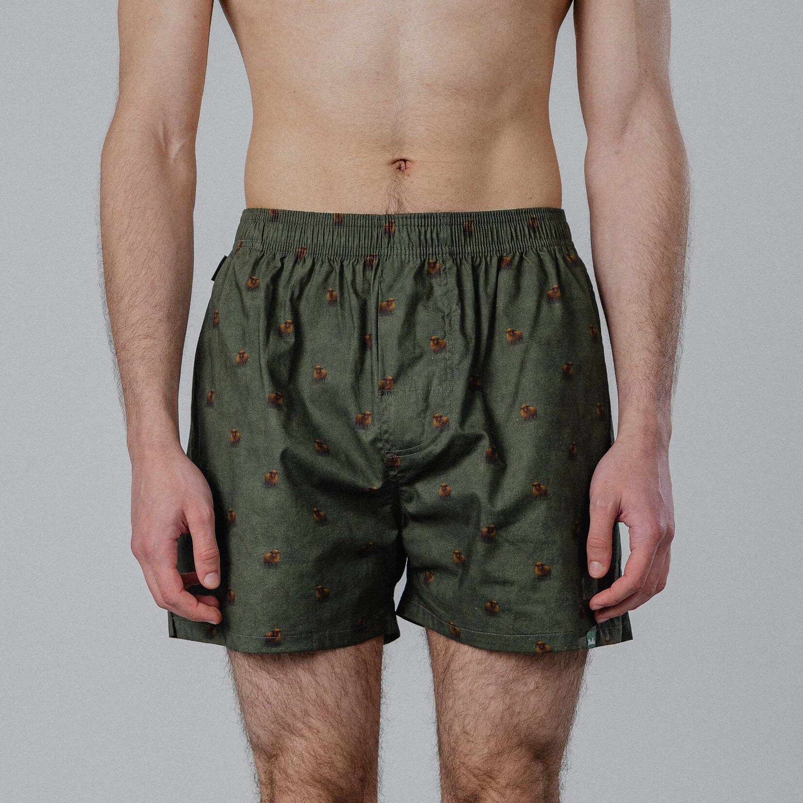 Pockies Underwear Pockies Sheep boxers green