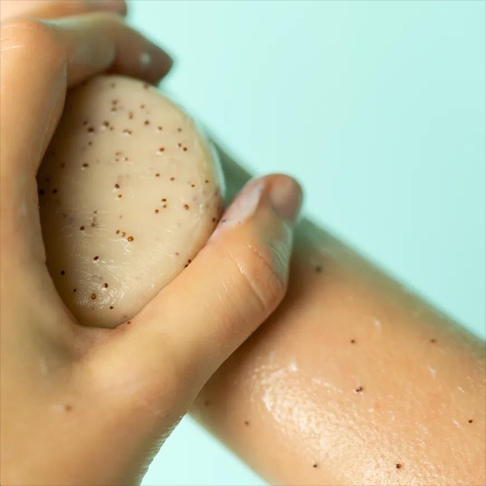 Shampoobars Body Scrub Bar Honing
