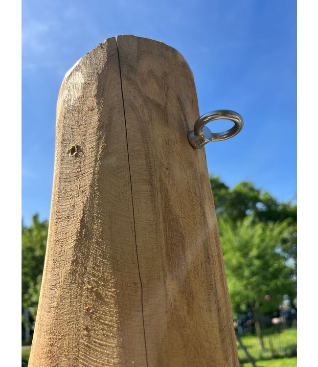 Schroefoog groot RVS M8x8mm