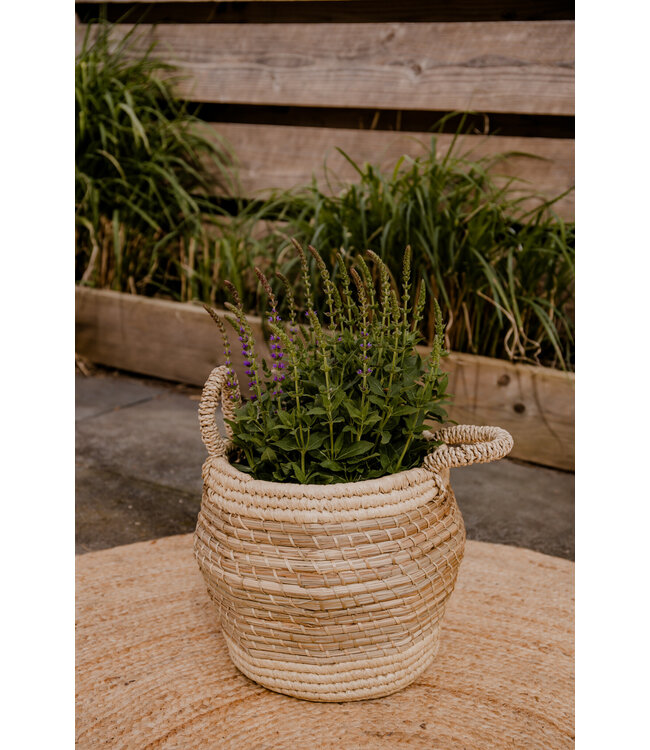 Mand Ufo groot 50cm | Najaarskorting