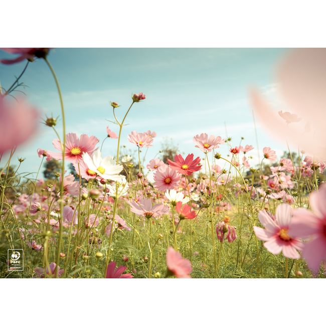 Zomerse placemat met kleurrijke bloemen