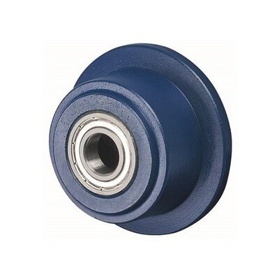 Grauguss-Spurkranzrad 75 mm - Kugellager 20 mm - 800 kg