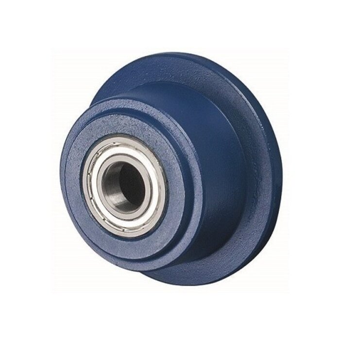 Grauguss-Spurkranzrad 100 mm - Kugellager 20 mm - 1000 kg