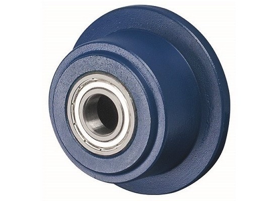 Grauguss-Spurkranzrad 100 mm - Kugellager 20 mm - 1000 kg