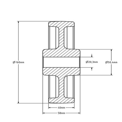 Rad aus Polyamid 160 mm - Bohrung 20 mm - 450 kg