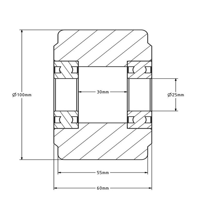 Gusspolyamidrad 100 mm - Kugellager 25 mm - 2000 kg