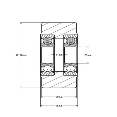 Gusspolyamidrad 100 mm - Kugellager 25 mm - 1250 kg