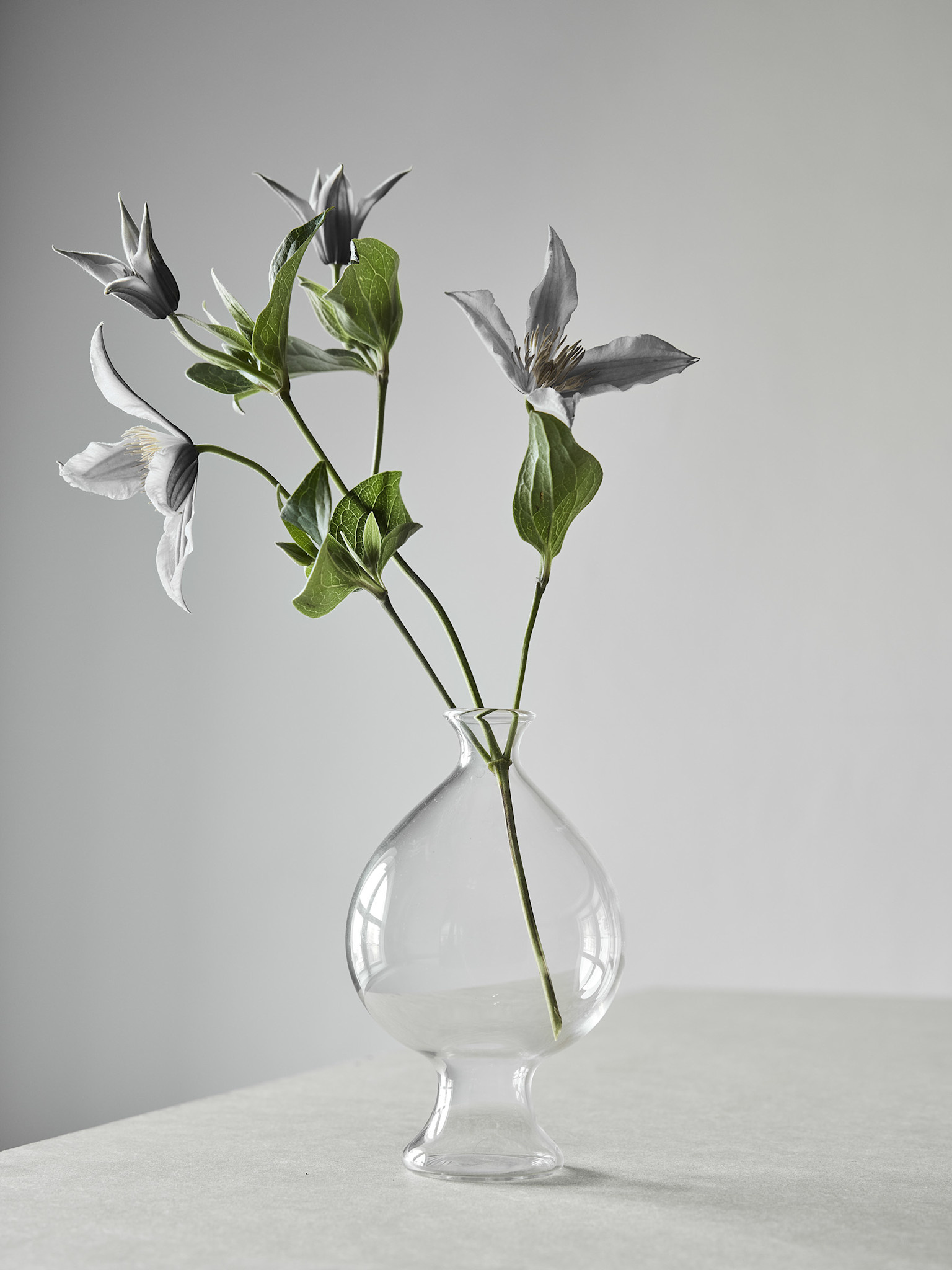 Tell Me More Vase Como Medium