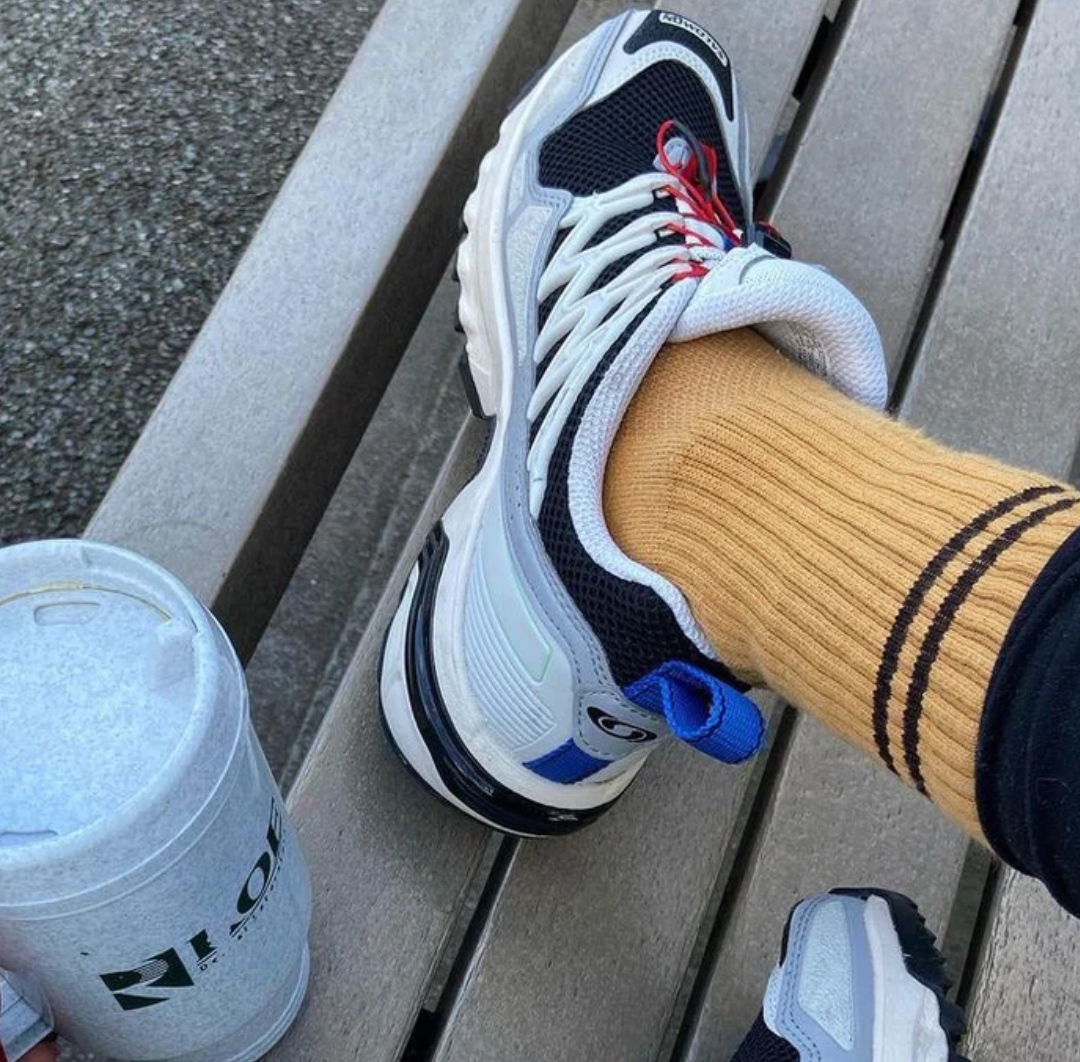 Le Bon Shoppe Boyfriend Socks Biscotti