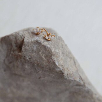Brandlinger Earring Faro Gold