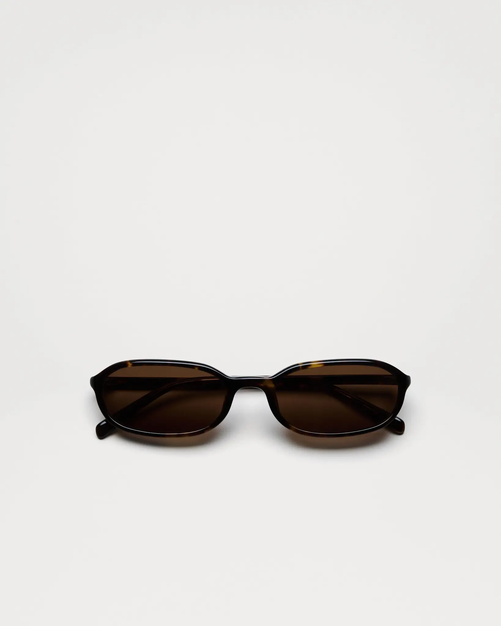 Chimi Edith Tortoise