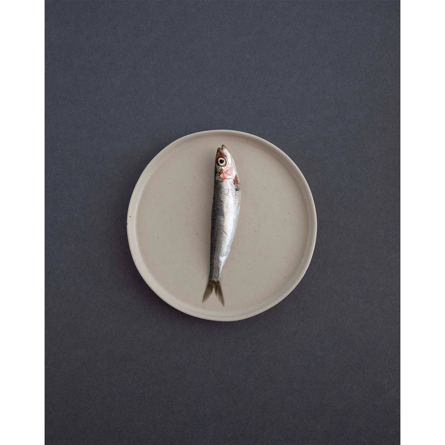 Costa Nova Cake Plate 16.2 cm Creme