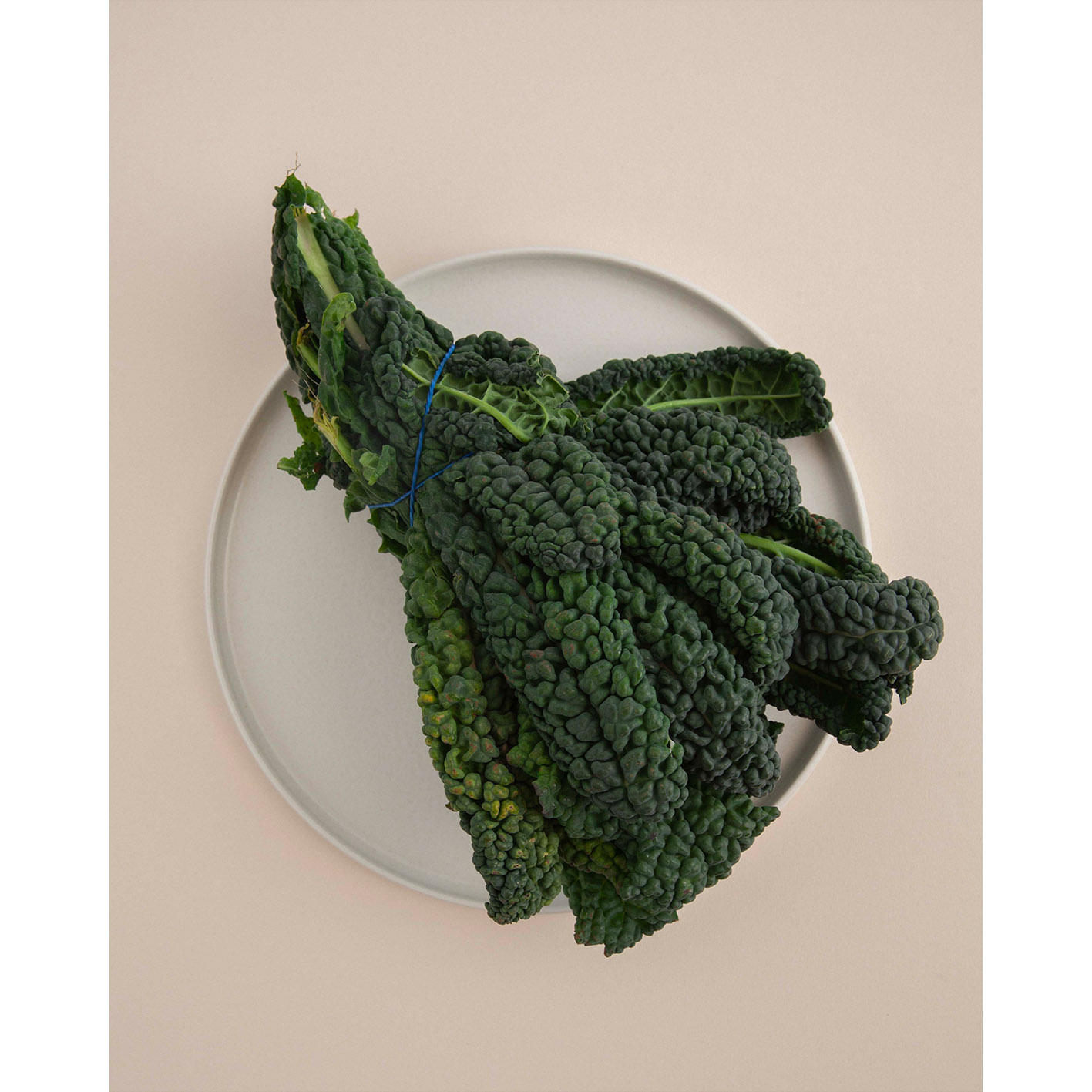 Costa Nova Dinner Plate 27cm Redonda White