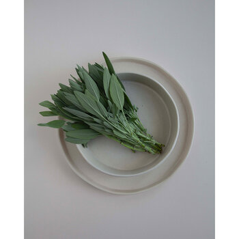 Costa Nova Bowl Lagoa Creme 13,9 cm