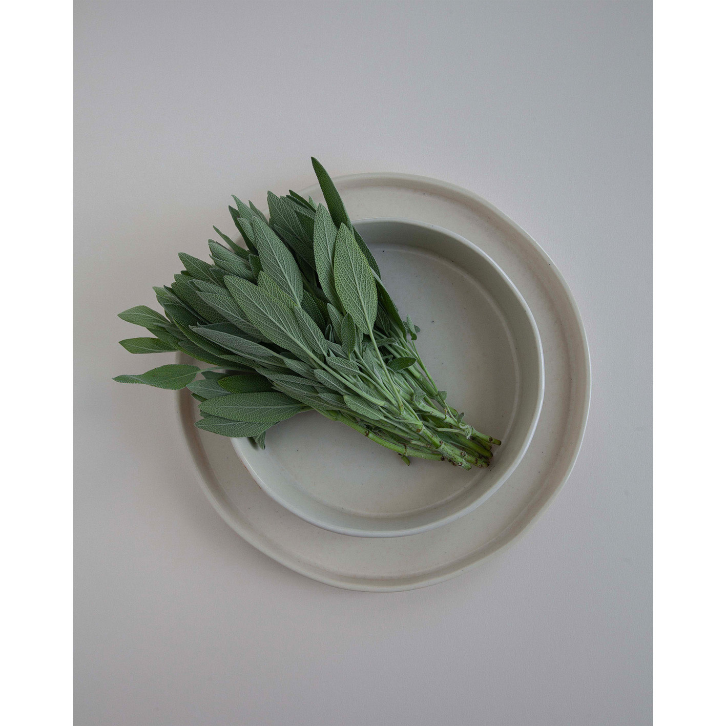 Costa Nova Bowl 13,9 cm Creme